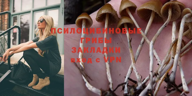 Псилоцибиновые грибы Magic Shrooms Анжеро-Судженск